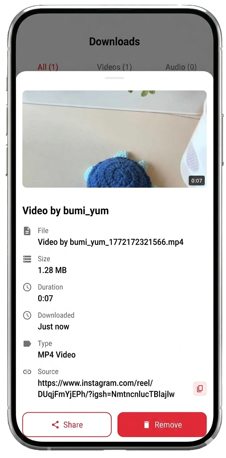 One Downloader screen 4